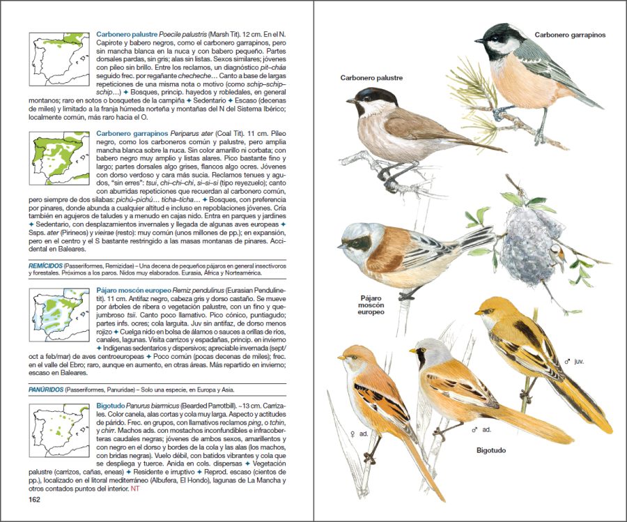 Aves de España sample page